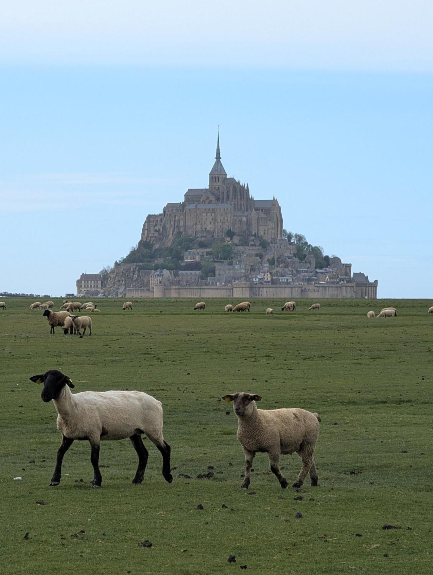 Bed and Breakfast A L Ombre Du Mont Saint Michel Huisnes-sur-Mer Esterno foto